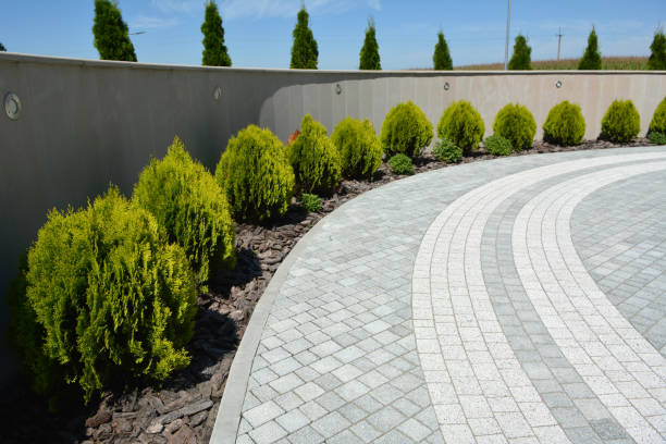 Best Interlocking Driveway Pavers  in Hastings, MN